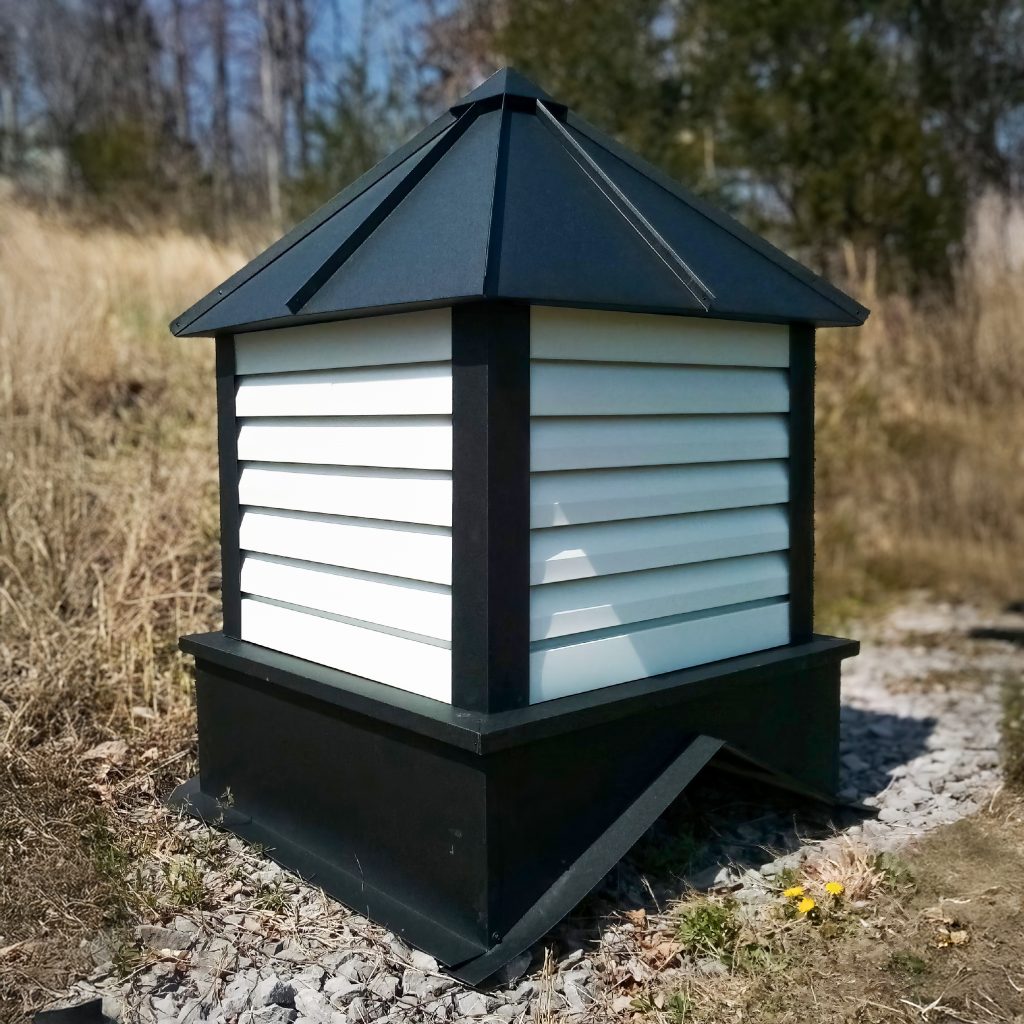 Black and White Cupola
